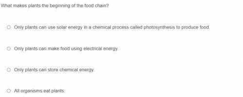What makes plants the beginning of the food chain?

please answer my question aswell as my last on