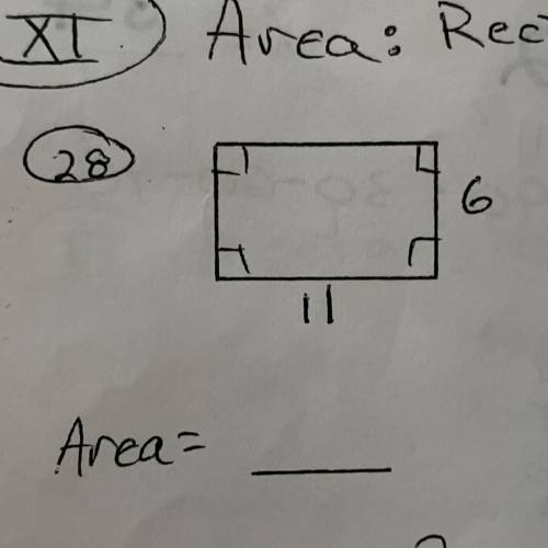 What’s the area of the rectangle