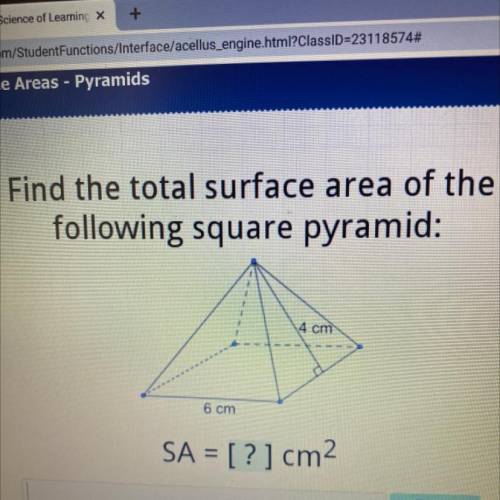 Can u guys help me find the answer please?