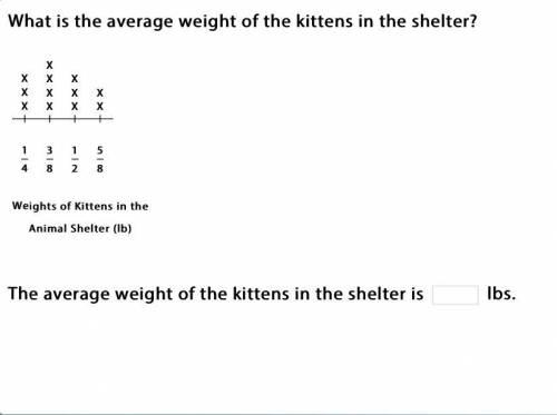 What is the average weight of the kittens in the shelter?worth?10points