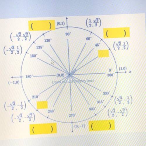 Fill in the blanks on the unit circle.
HELP ASAP