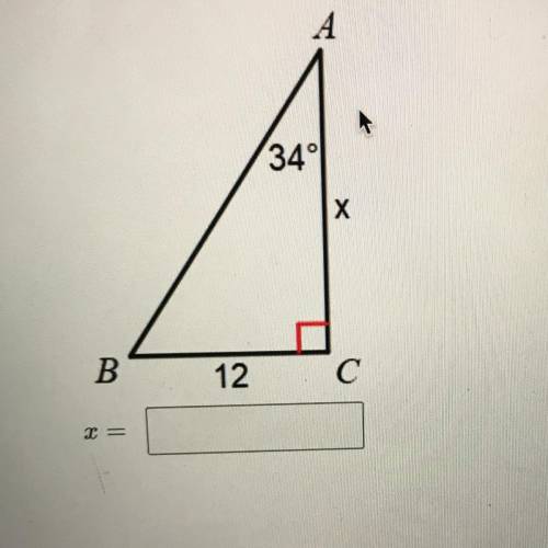 Solve for x and show work
