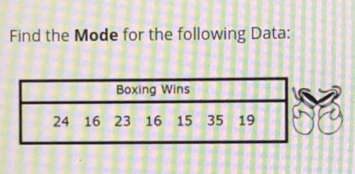 Boxing wins 
24 16 23 16 15 35 19