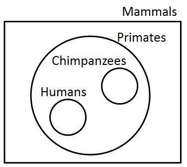 Which of the following is a valid conclusion based on the Venn diagram?

A.
If a chimpanzee is a p