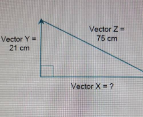 What is the magnitude of vector X?​