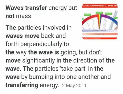 What do waves transfer and what they dont transfer?? pls answer asap