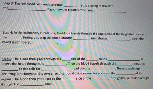 HEELP I have to include the terms and fill in the blanks - Journey of a red blood cell