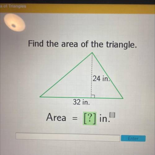Find the area of the triangle.
24 in.
32 in.
