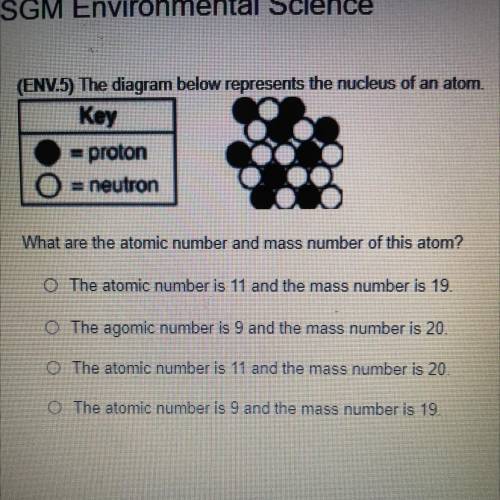 What are the atomic number and mass number of this atom?