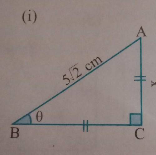Will mark Brainlest help me find the value of x or theta​
