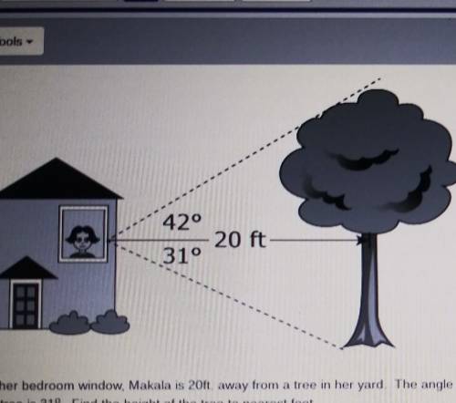 HELP ASAP 

From her bedroom window, Makala is 20ft. Away from a tree in her yard. The angle