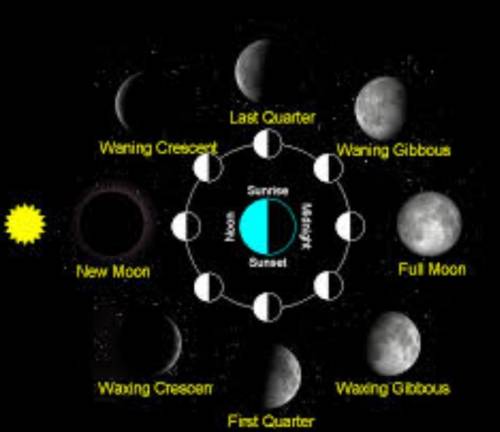 Please Help
What phase of the Moon is show below?