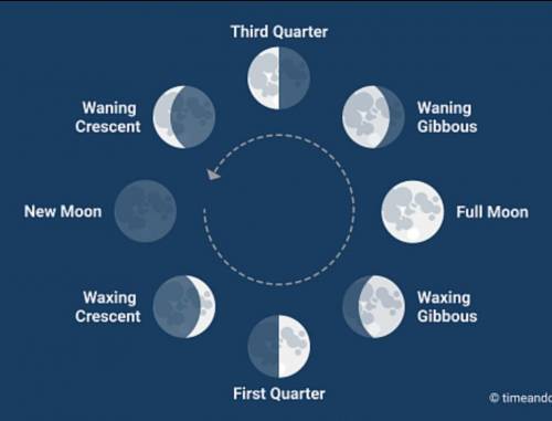 Please Help
What phase of the Moon is show below?