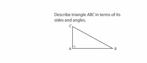 Describe triangle ABC in terms of its sides and angles