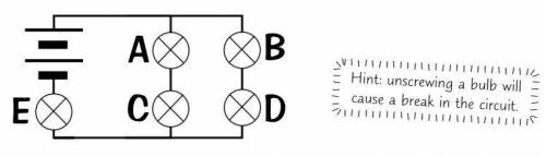 This circuit has five bulbs (A, B, C, D, and E). Select which bulbs would turn off if bulb C was un