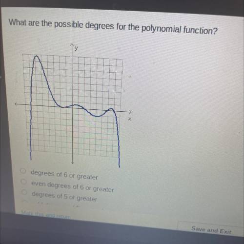 What are the possible degrees for the polynomial function?