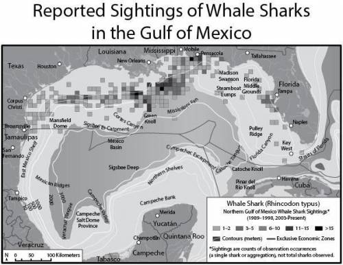 The following map of the Gulf of Mexico shows reported sightings of whale sharks. What explanation