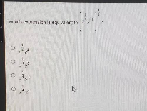 Which expression is equivalent to ( x^1/4 y^16 )^1/2 ?​