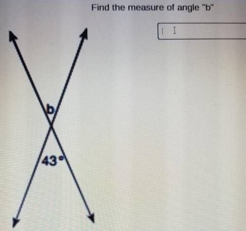 Find the measure of angle b ​