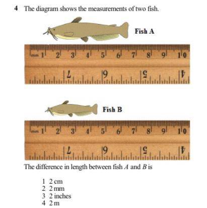 The diagram shows the measurements of two fish. the difference in length between fish a and b is?