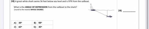 Can anyone help me with this question pls ! I would appreciate it !!

-
A great white shark swims
