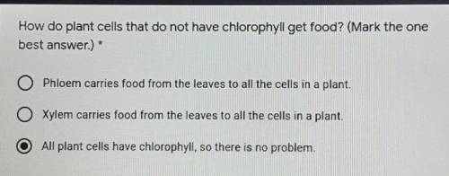 How do plant cells that do not have chlorophyll get food?​