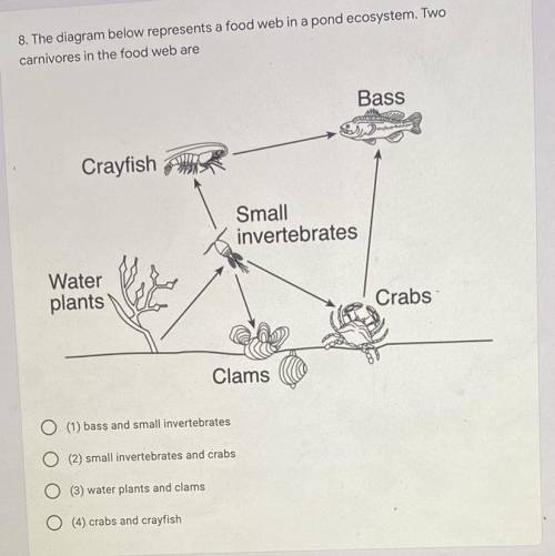 I needa answer.

Answer Choices
1) bass and small invertebrates 
2) small invertebrates and crabs