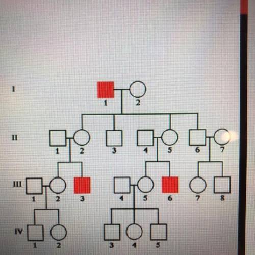 Write the genotypes of each person in the pedigree.
Thanks in advance. I need this ASAP.