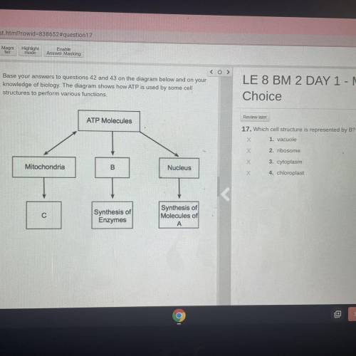 Biology help with this please