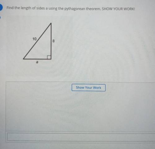 Please help me with this im pretty confused ?​