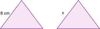 These triangles are congruent. What value is x?
