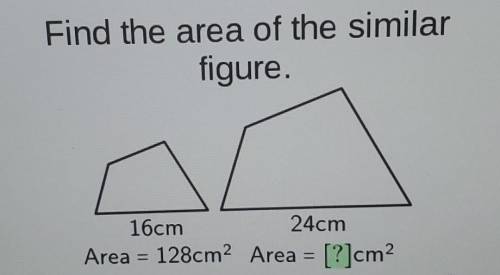 Find the area of the similar figure. 16cm 24cm Area = 128cm2 Area = [?]cm2​