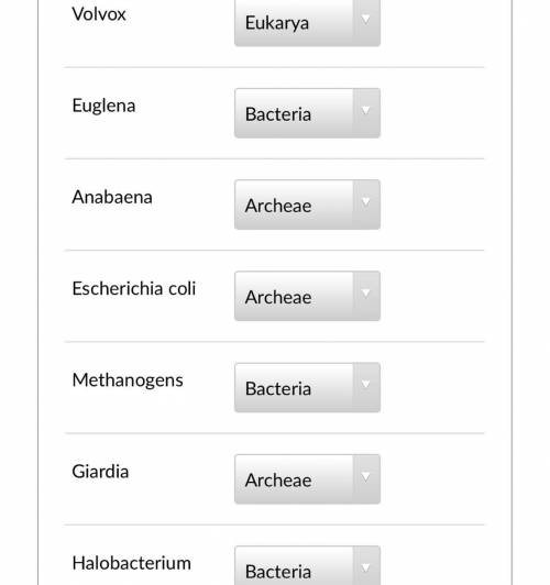 Question 4 choices are Eukarya, bacteria and Archeae