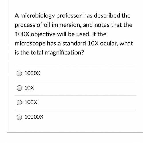 Please help question 10