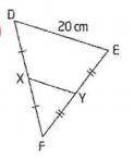 Calculate the length of line segment XY in each triangle.

Please No Docs/No File Only real answer