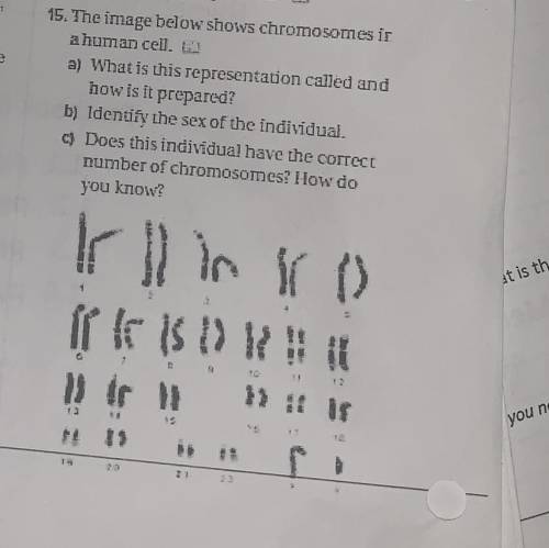 PLEASE HELP!!!

15. the image below shows chromosomes in a human cell
i need answer a, b and c ple