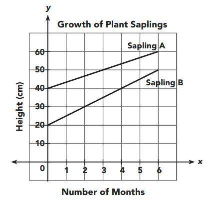 The growth of two plant saplings A and B, were observed for a period of 6 months. The graph shows t