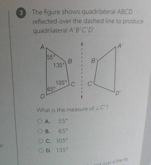 Someone help. I think the answer is C but not sure. Whoever answers gets a shoutout in all my socia