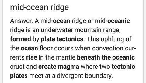 Which of the following is most likely to form when hot magma rises up as tectonic plates move apart