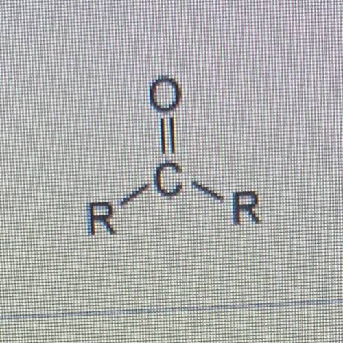 Which functional group is within the compound shown below?

O A. Ester
O B. Hydroxyl
O C. Amino
O