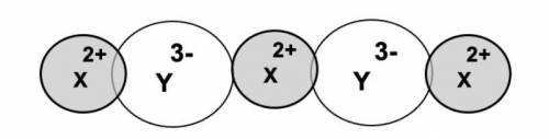 Based upon the following diagram, propose a possible identity for atoms X and Y. Explain your answe