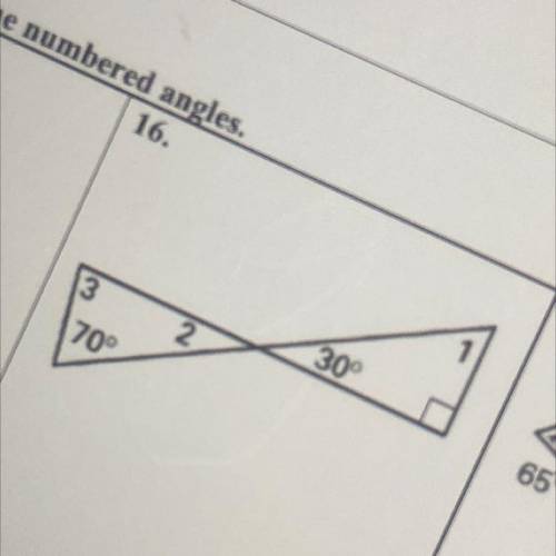 Find the measurement of the numbered angles