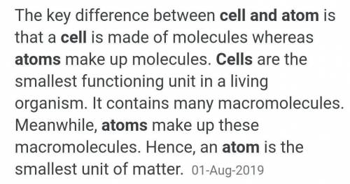 Define cell and atom bored​
