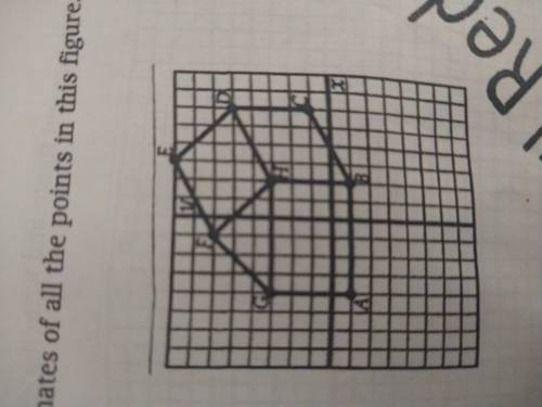 Write the coordinates of all the points in this figure