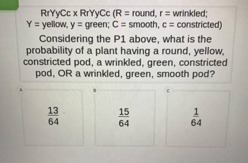 RrYyCc x RrYyCc (R= round, r= wrinkled; Y= yellow, y= green; C= smooth, c= constricted)

Consideri