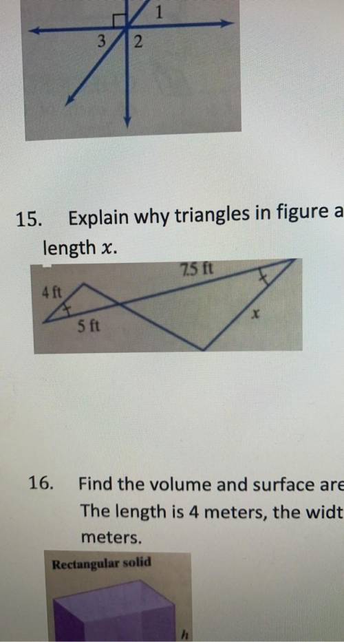 Explain why triangles in the figure are similar. then find the missing length x