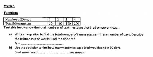 The table below shows the total number of text messages that brad sent over 4 days.
