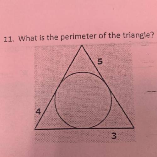 11. What is the perimeter of the triangle?
im taking a test pls help me