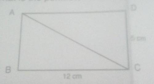 In the figure above the perimeter of triangle ABC is 30 cm^2 .Find the length of line AC​