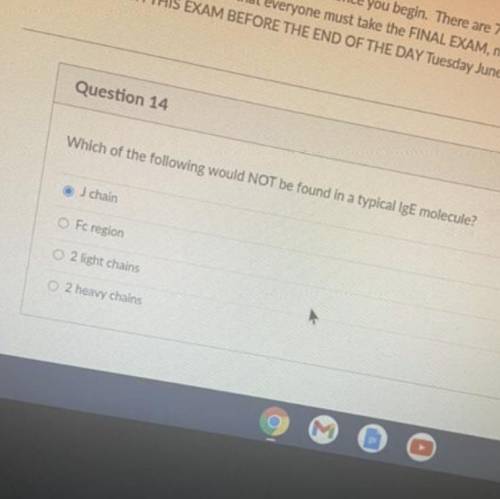 I need help with this question please !